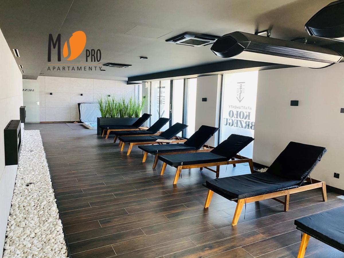 Ms Pro Kolo Brzegu *