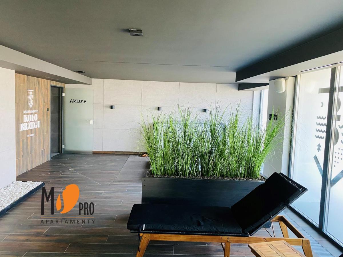 Apartamento Ms Pro Kolo Brzegu *
